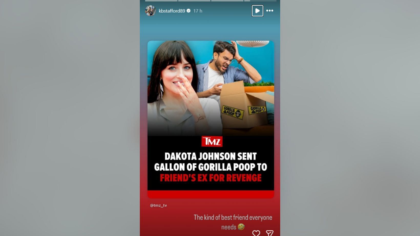Kelly Stafford reacts to Dakota Johnson’s gorilla poop prank on friend’s ex (Image Credit: Kelly/IG)